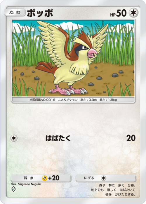 Pidgey