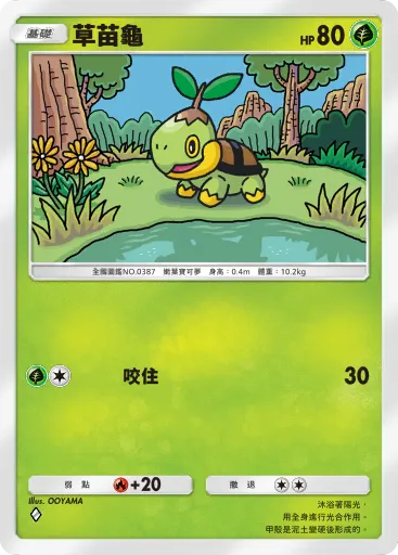 Turtwig