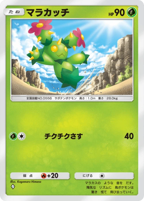 Maractus