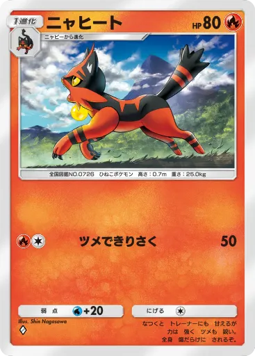 Torracat