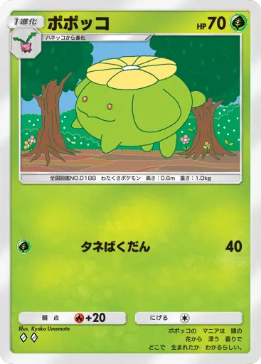 Skiploom