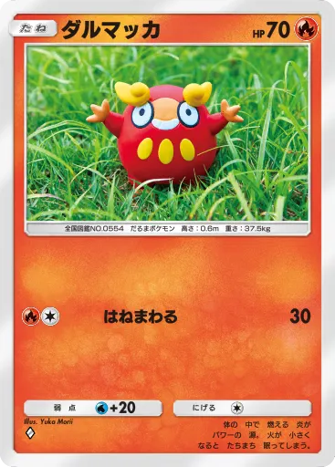 Darumaka