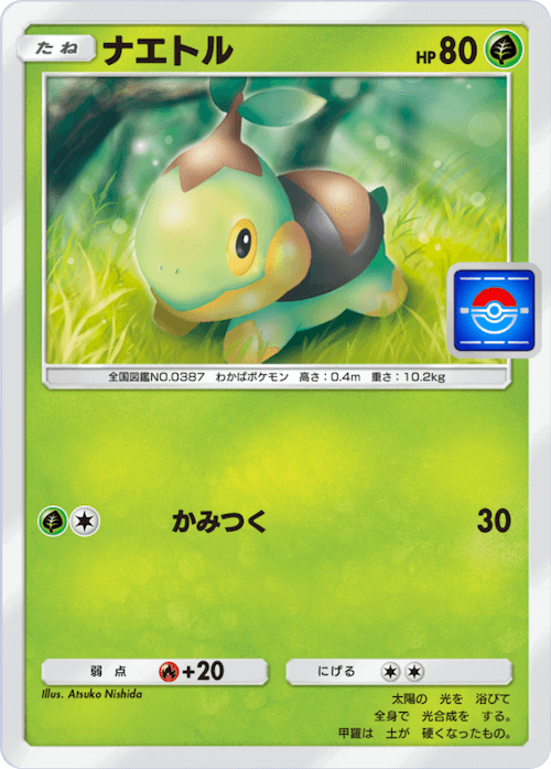 Turtwig