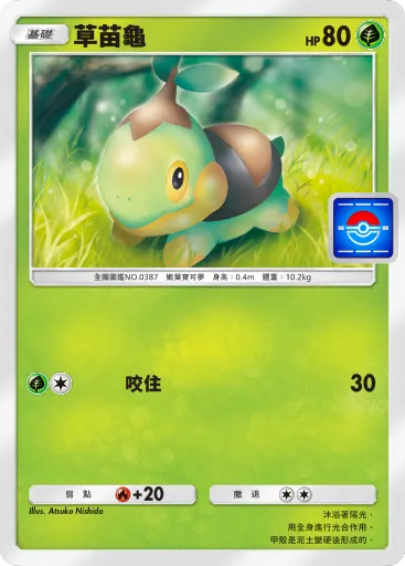 Turtwig